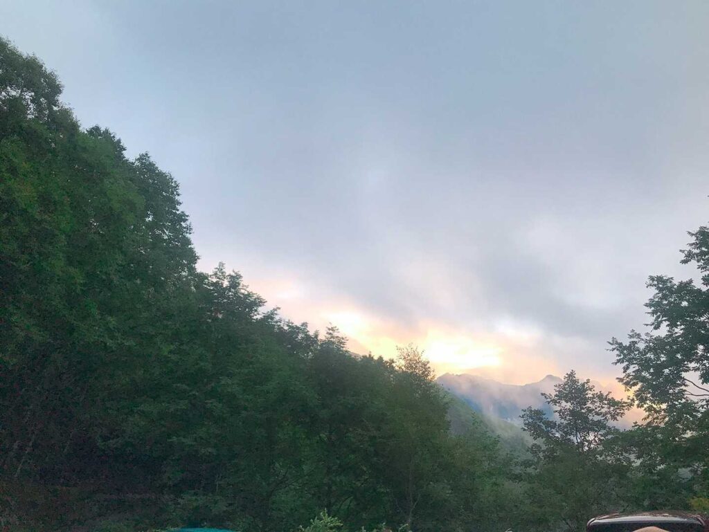 朝日が差し込む樹林帯