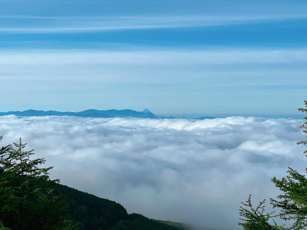 富士山と雲海