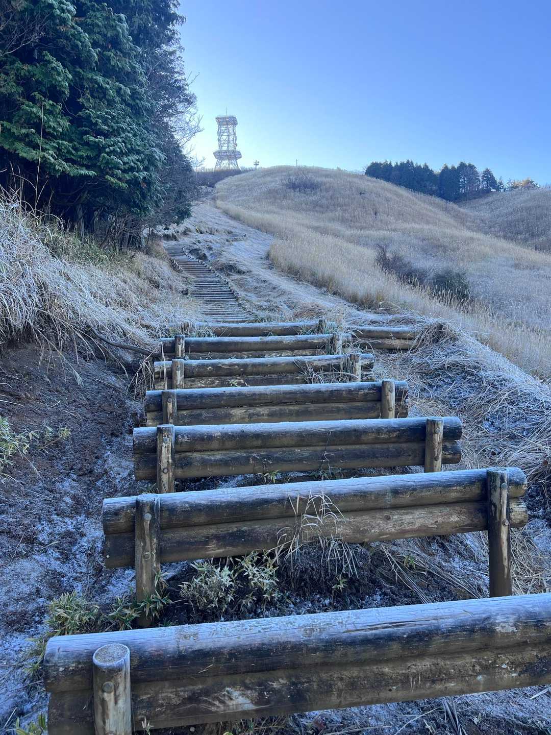 土が抜けたハードル状の木段