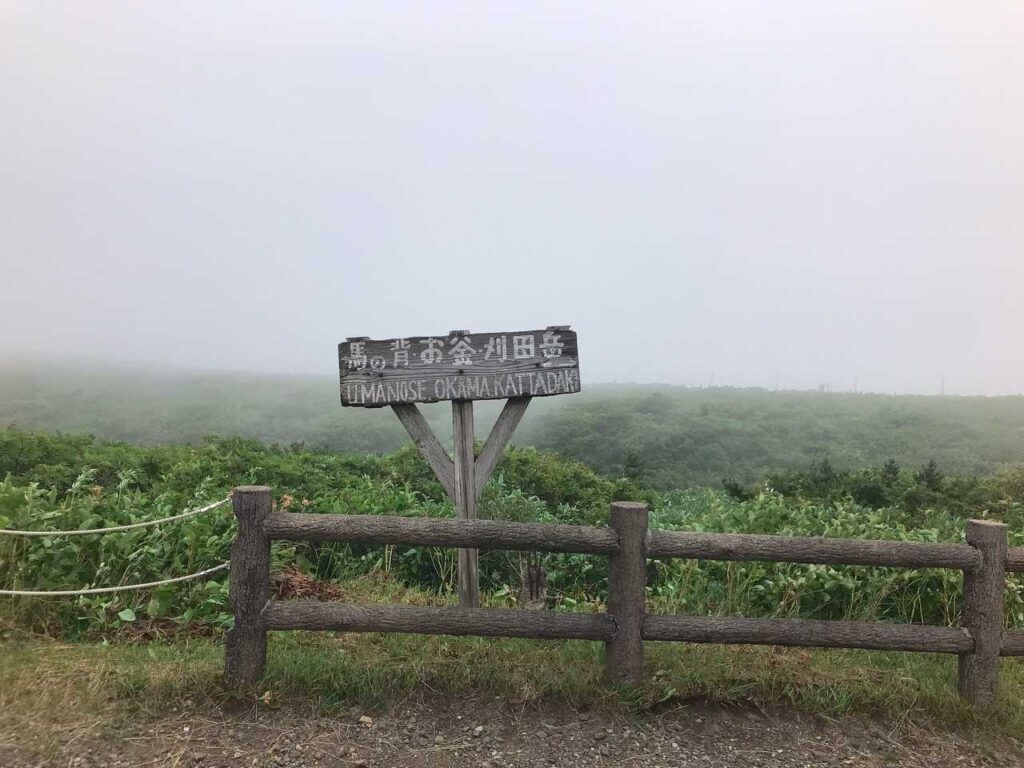 ここからスタート。けど...