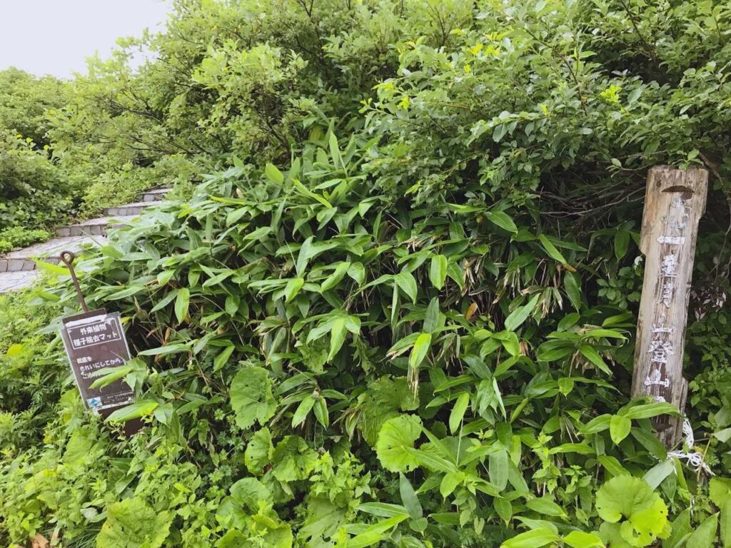 八合目登山口からスタート