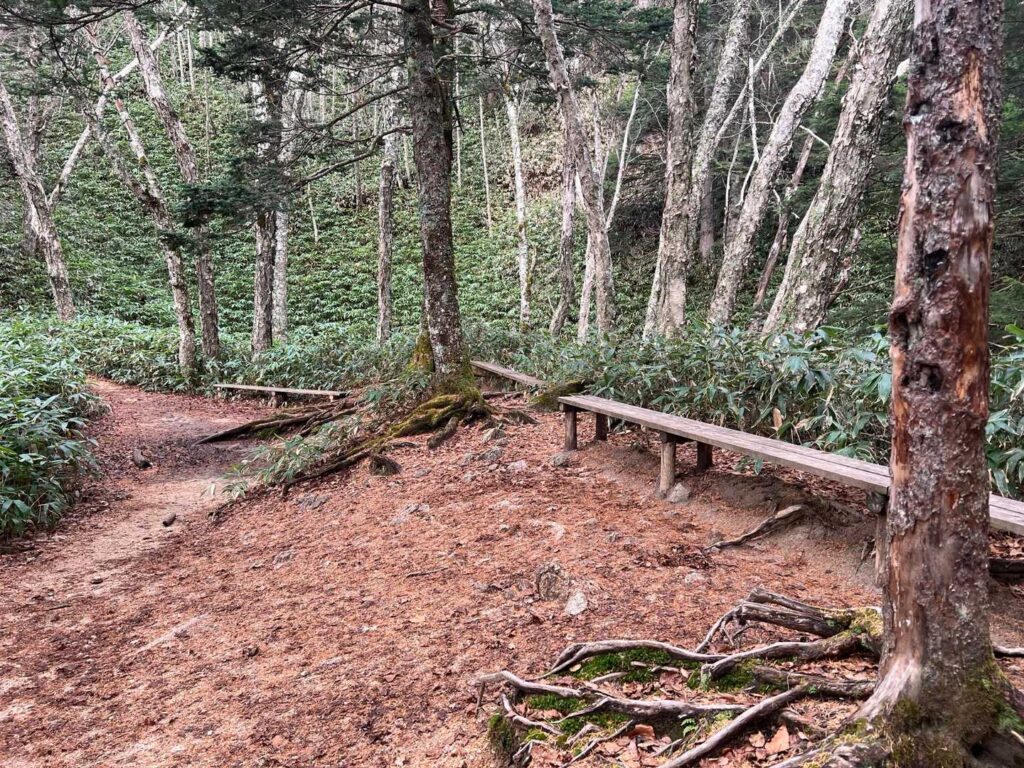 第1ベンチで最初の休憩