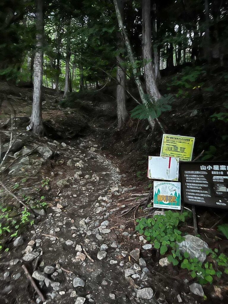 まずは林道からスタート