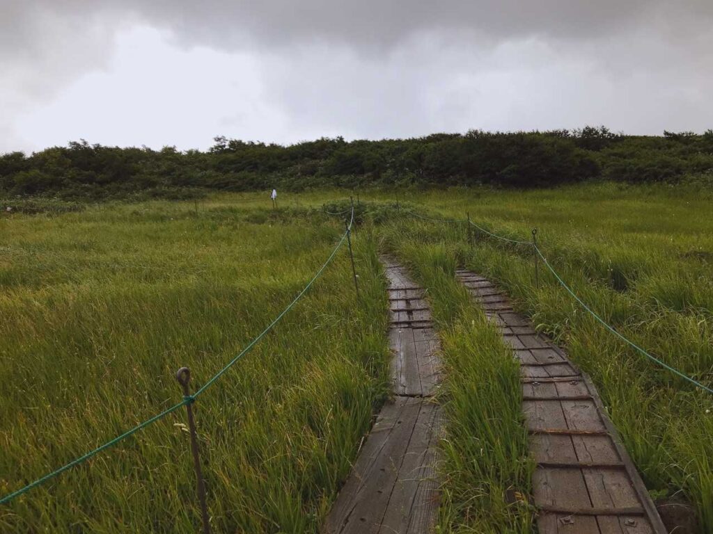 濡れた木道を慎重に歩く