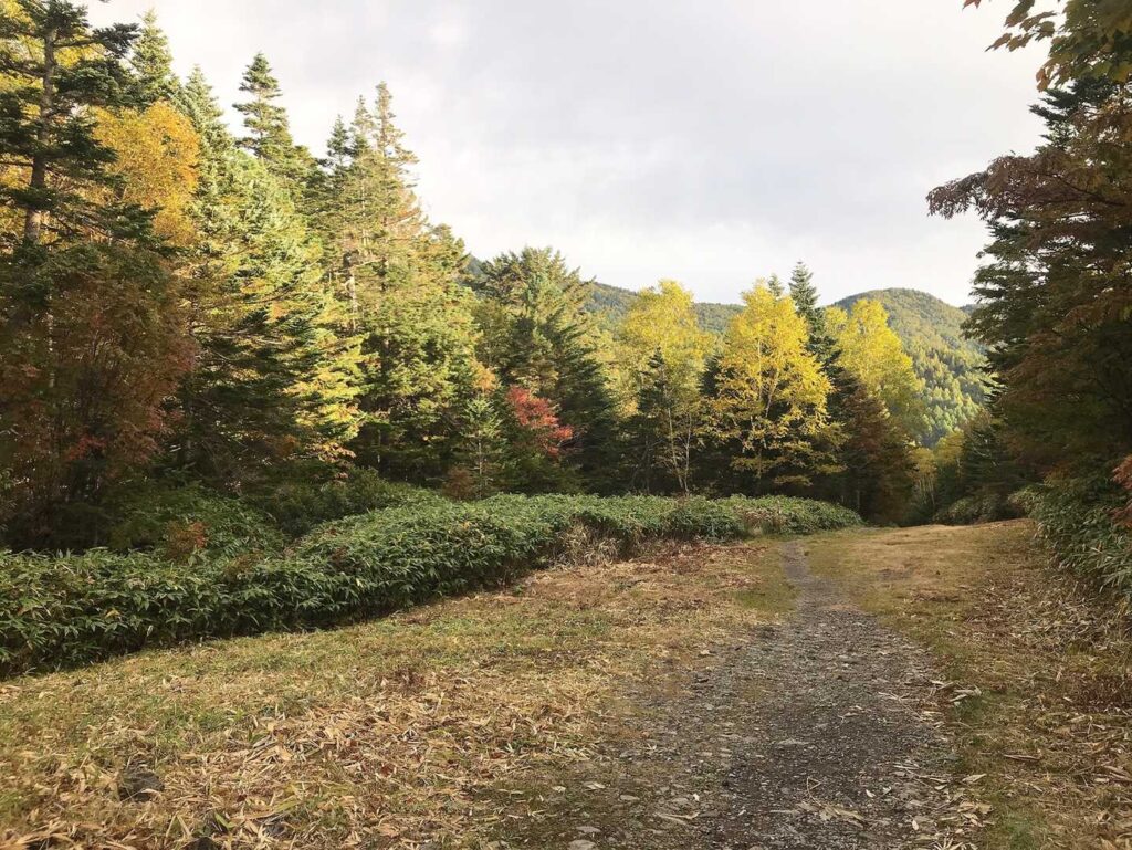 紅葉が始まった登山道