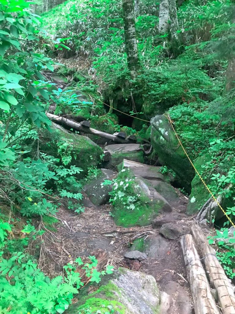 アスレチックのような急登