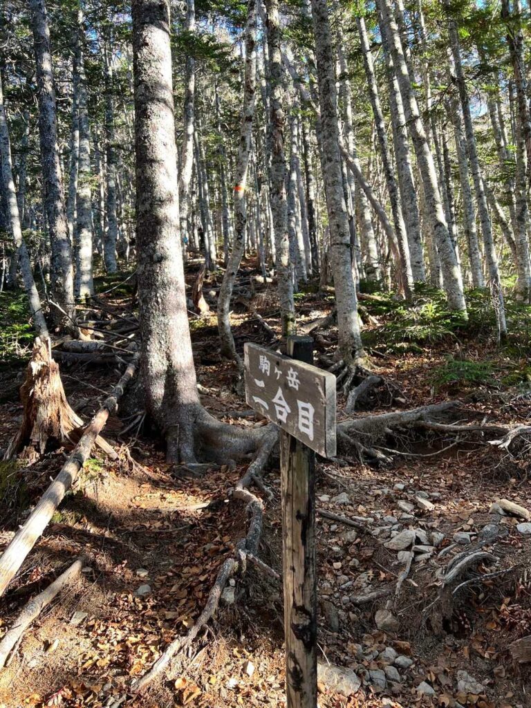 九十九折の急登