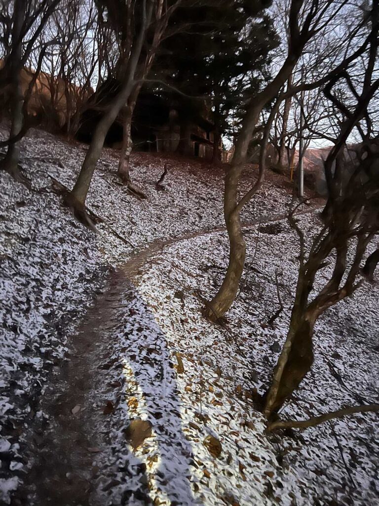 登山道にうっすら積もった雪