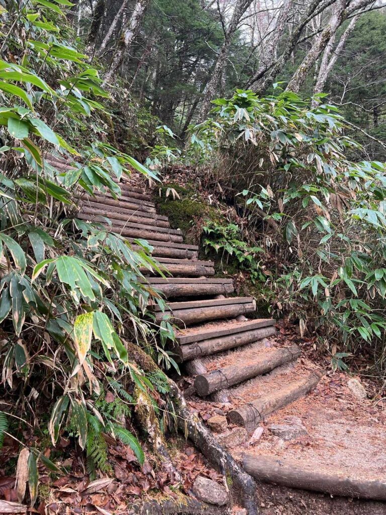 ひたすら続く階段