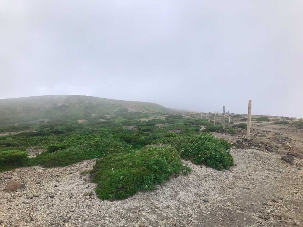 少しガスが晴れて