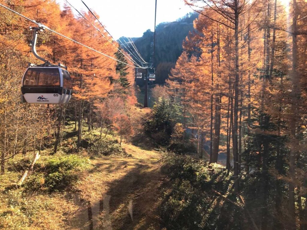 ロープウェイから一気に上がっていく