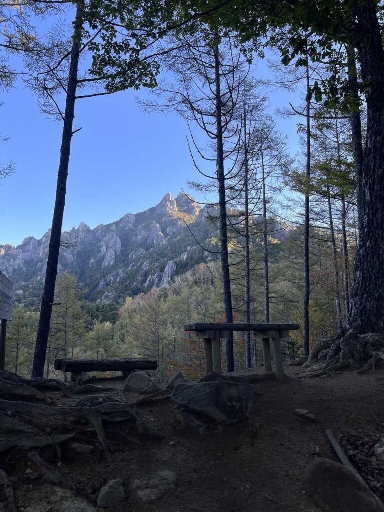 登山道から見上げる瑞牆山の岩峰