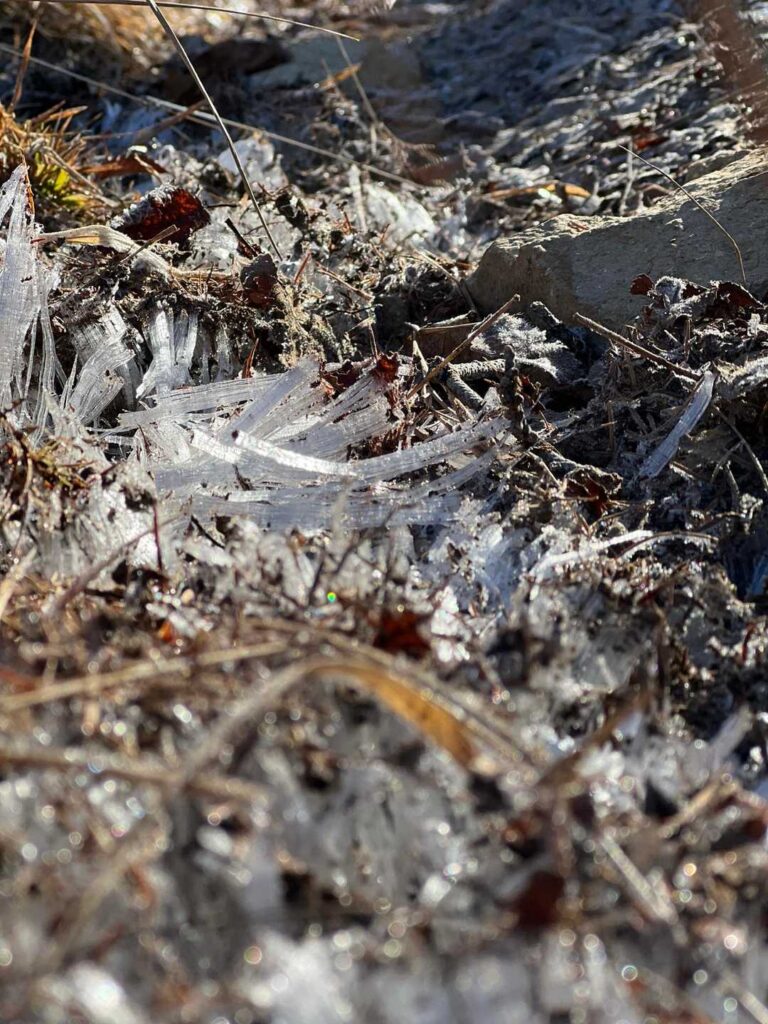 霜が降りた登山道