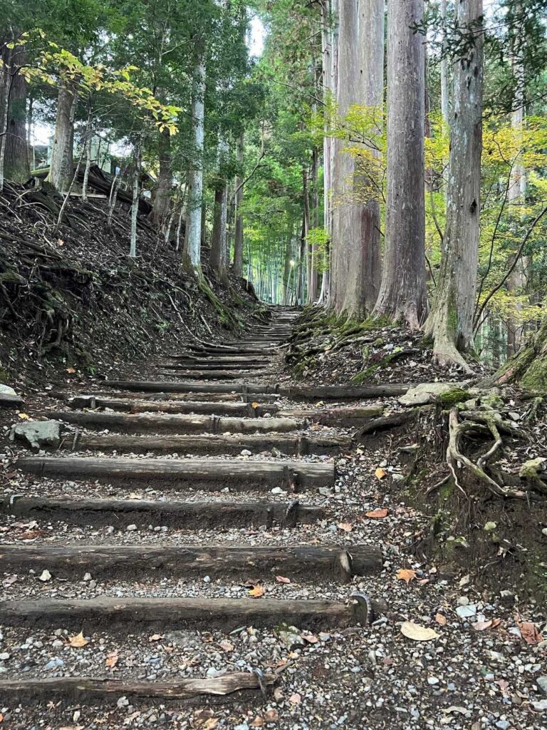 ひたすら登りの参道