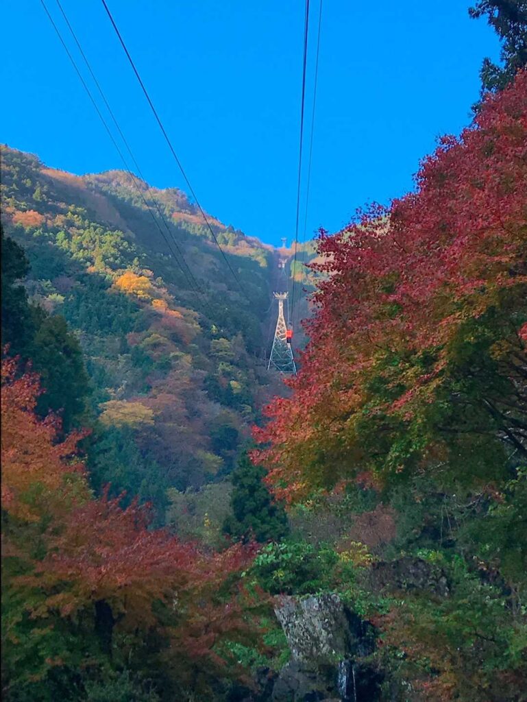 ロープウェイからの紅葉