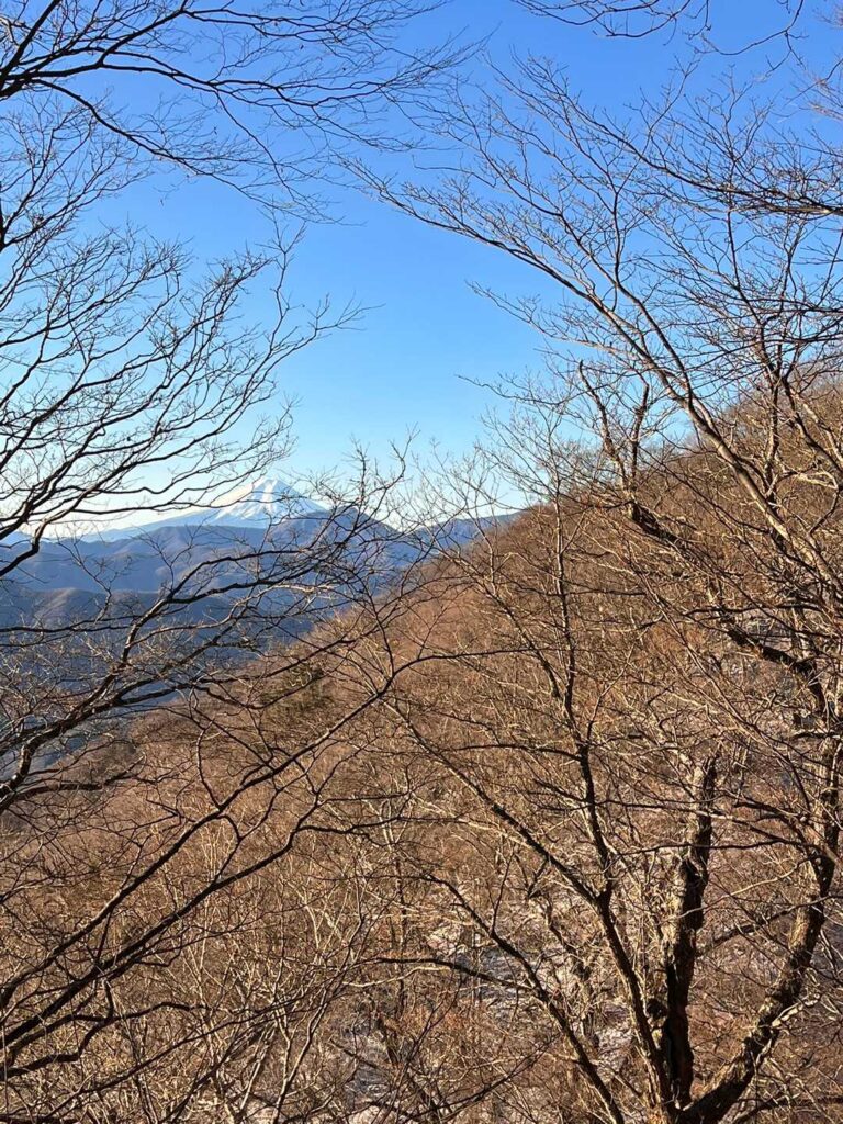 木々の間から見える富士山