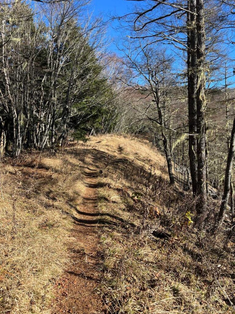 少し登ると南アルプスの山並みが見える