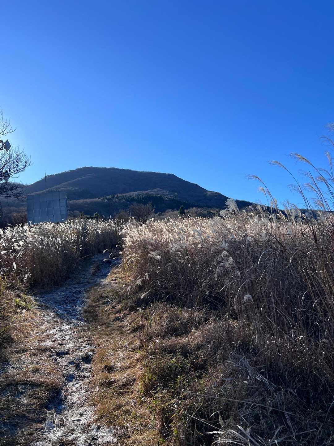 ススキの間の登山道
