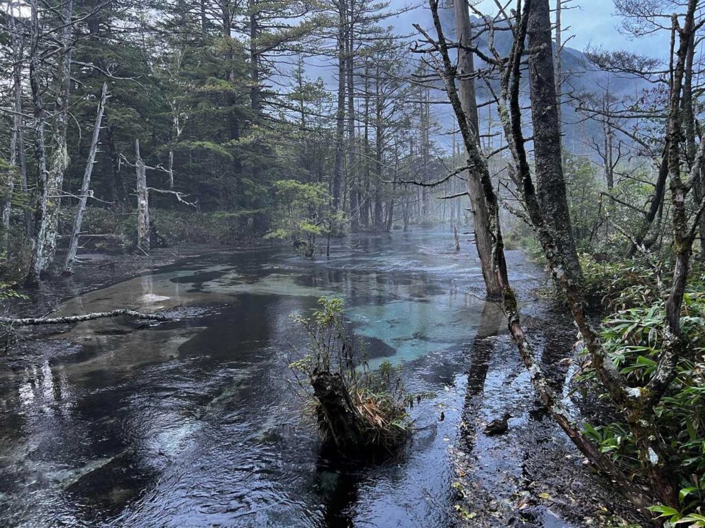 幻想的な霧の上高地