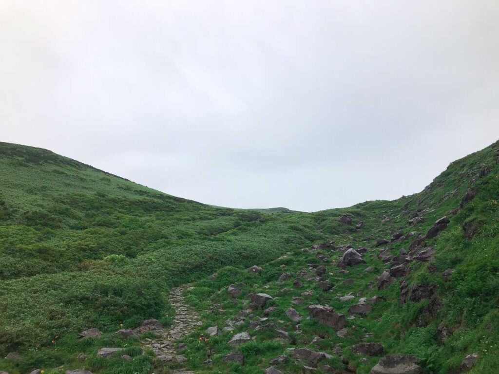 どんより雲の中の登山道