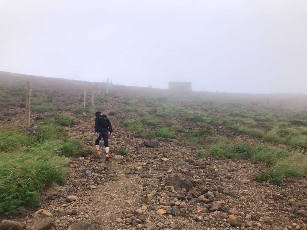 ここでルートミス