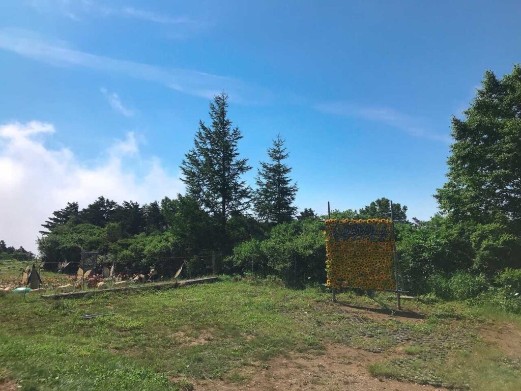 雲の上に出た稜線