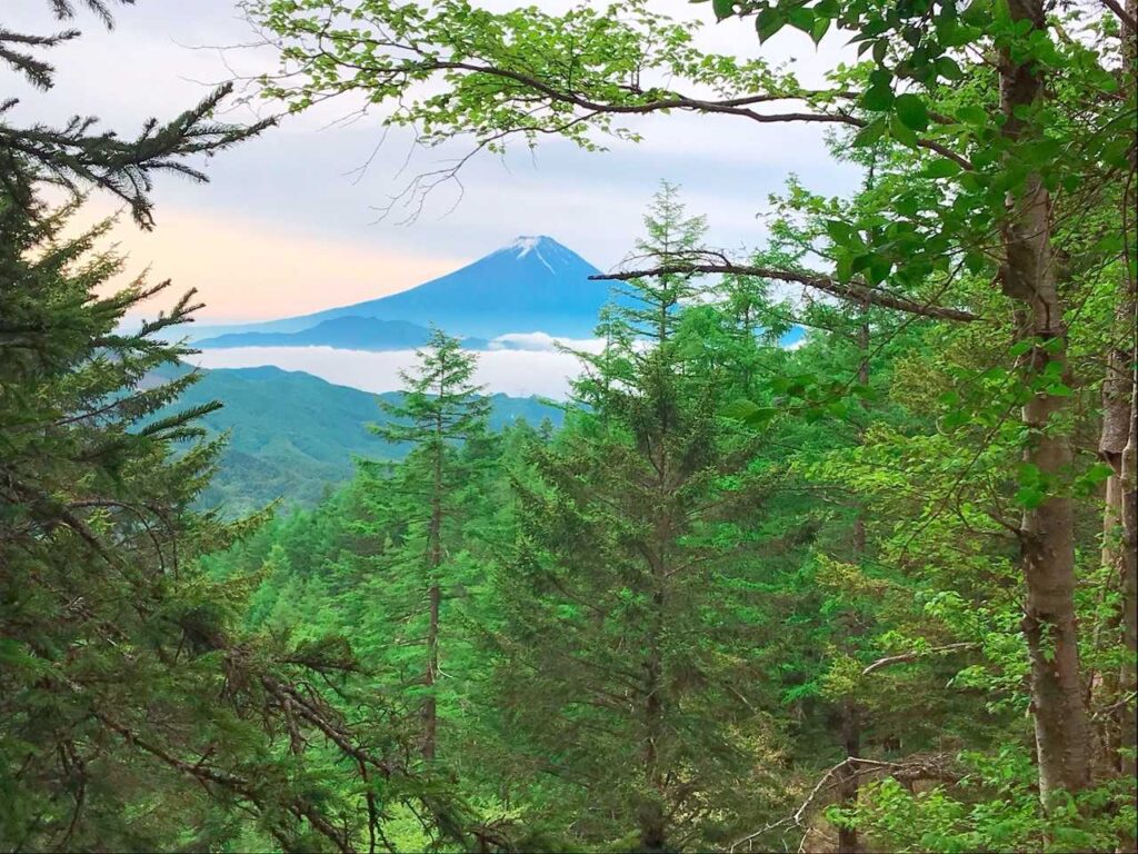 登山道から見えた富士山