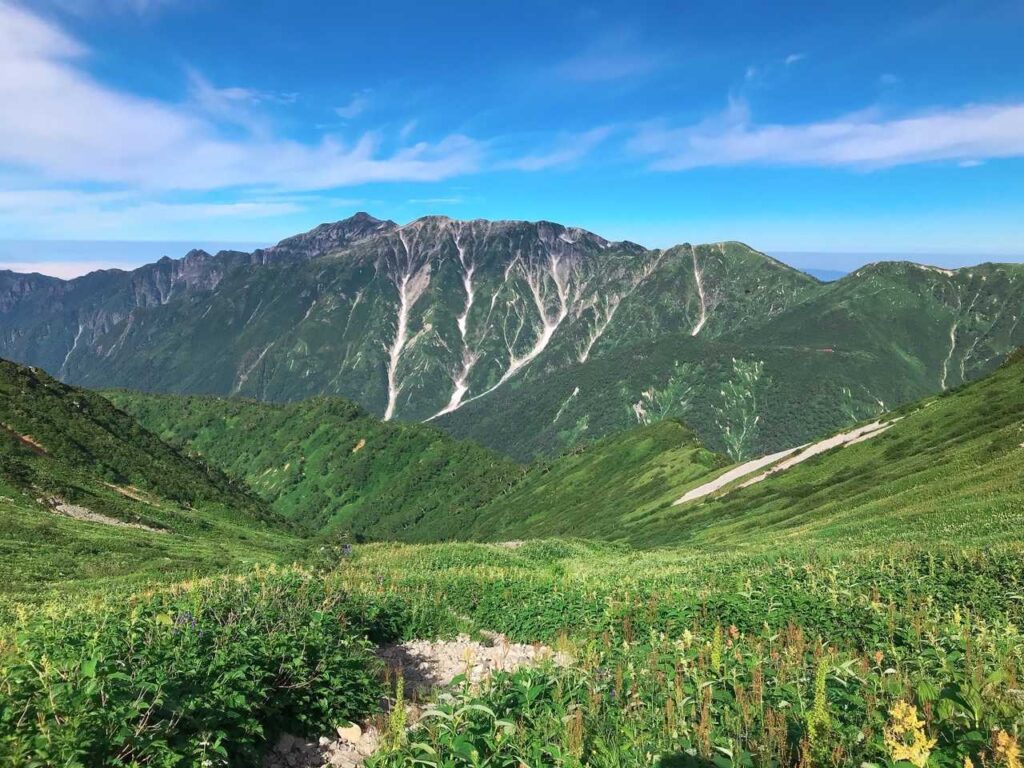 飛騨沢のお花畑