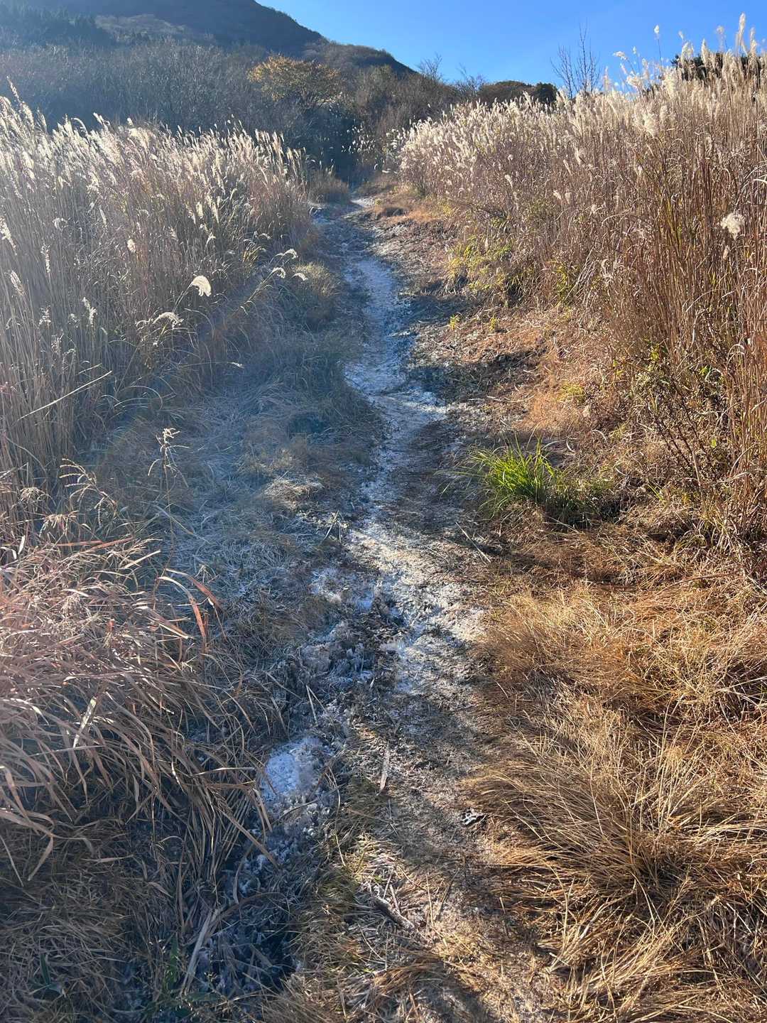 霜が降りた登山道