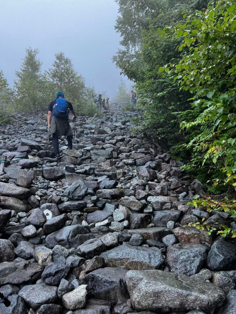 重太郎新道の急登が始まる