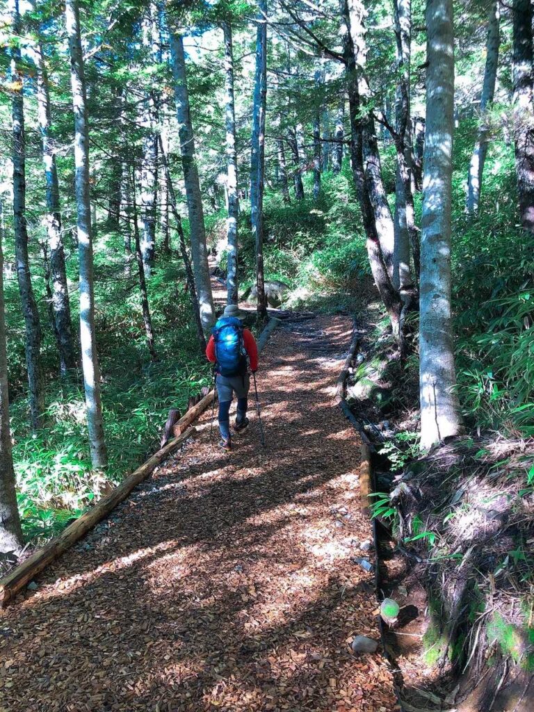 ウッドチップのフワフワ山道
