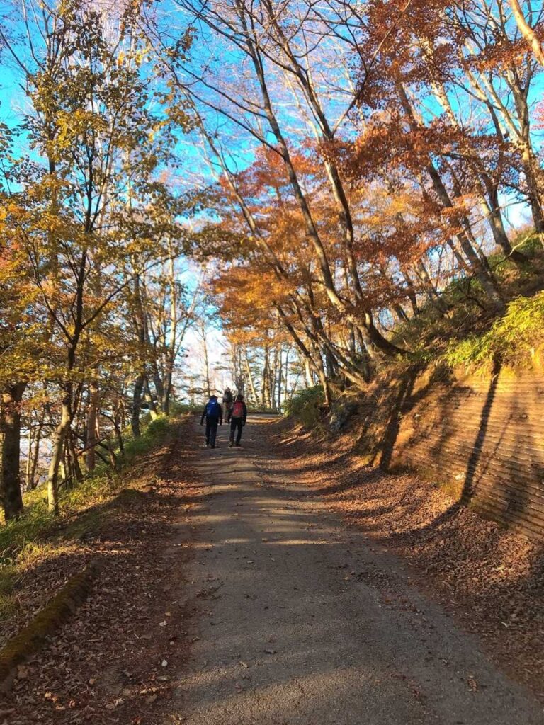 舗装路を歩く区間