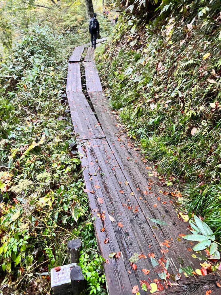 凍っていないように見える木道