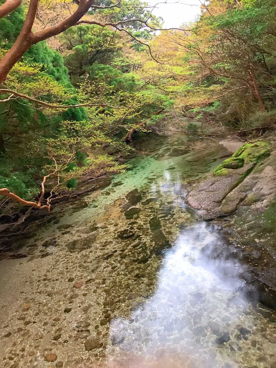 透き通った水の流れ
