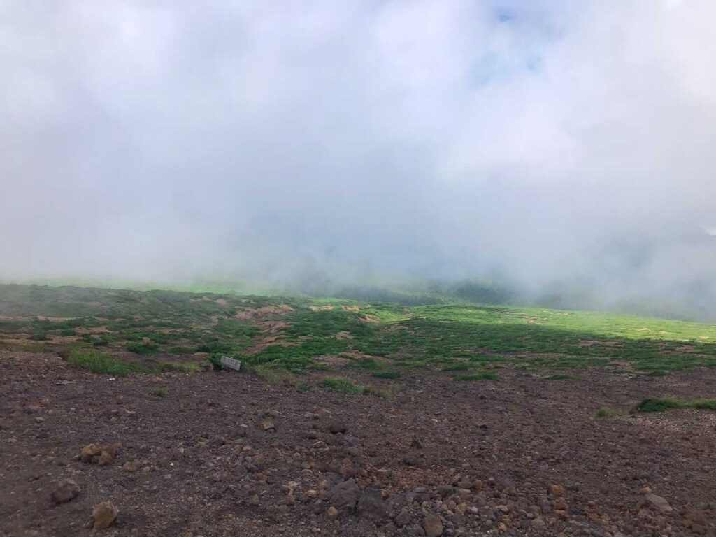 ちょっとだけ緑が見えてきた