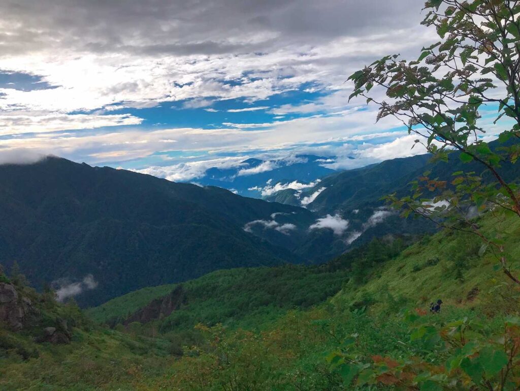 青空が覗いてきた
