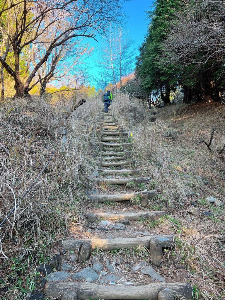 延々と続く階段と木道
