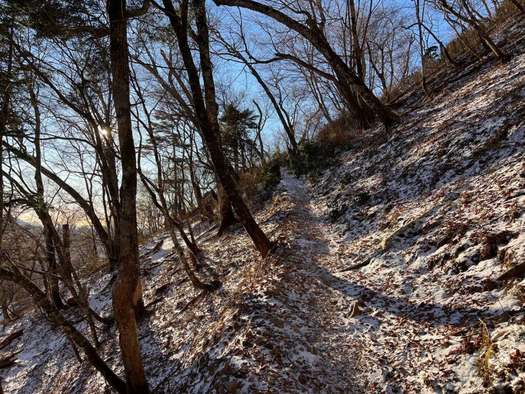 朝日が差し込む登山道