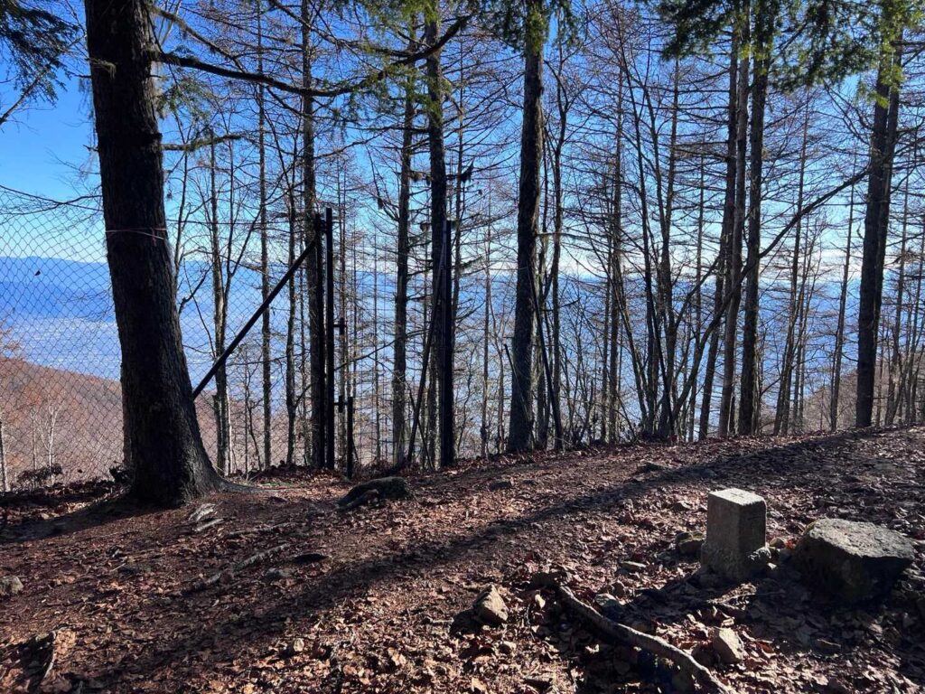 木々の間からかろうじて見える富士山