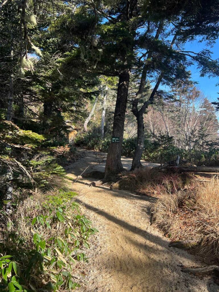 あと5分の看板。ここからが地味に長い