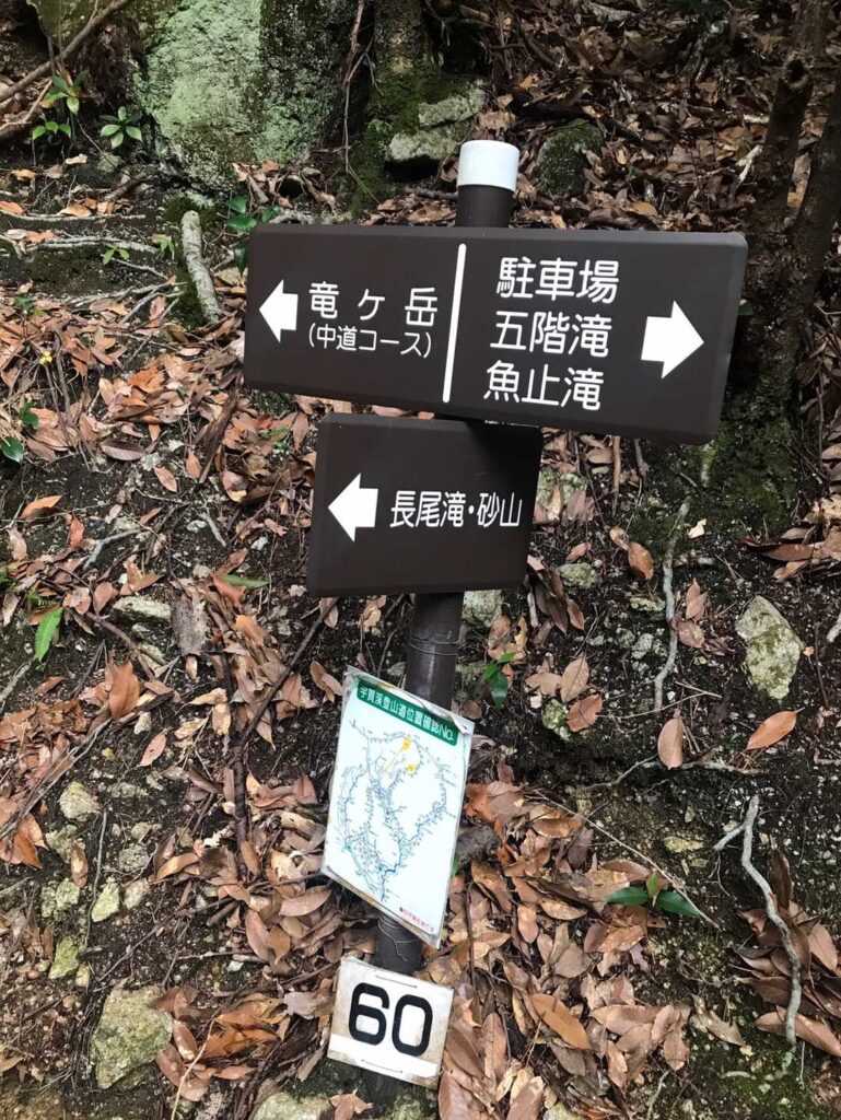 中道コースでいきますよー