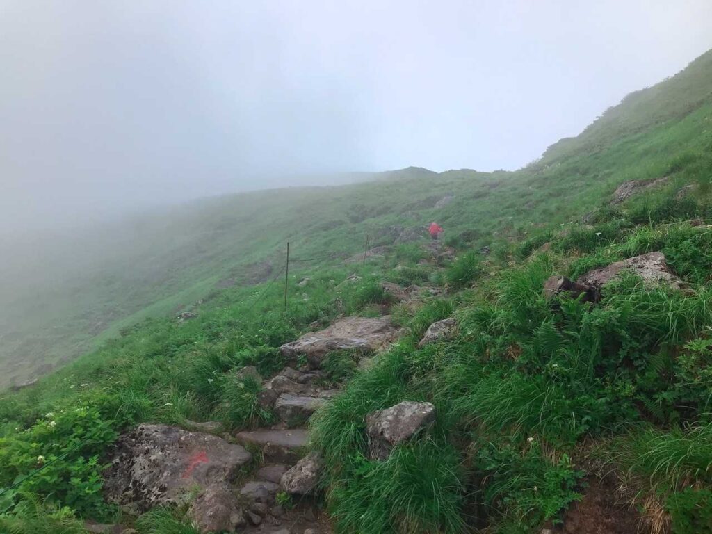 ガスが濃くなってきた