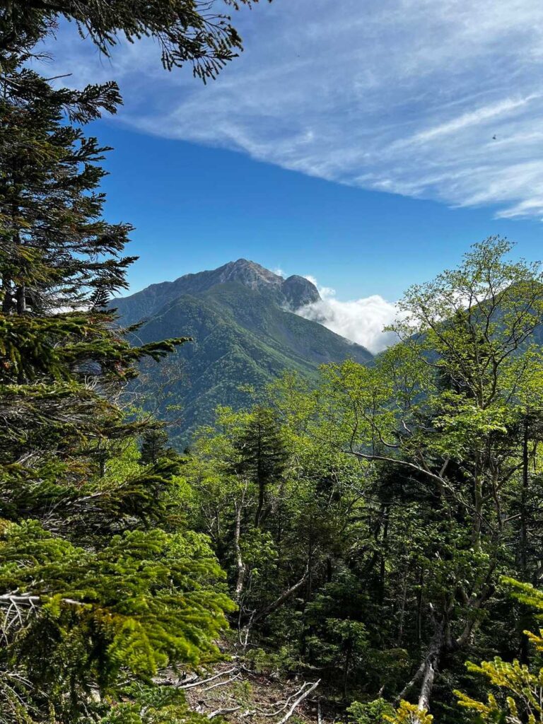 北岳が顔を覗かせる