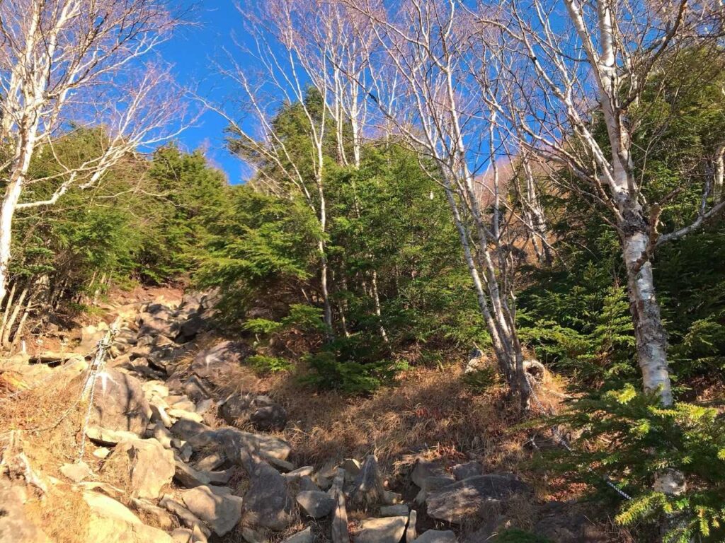 岩場がひたすら続く