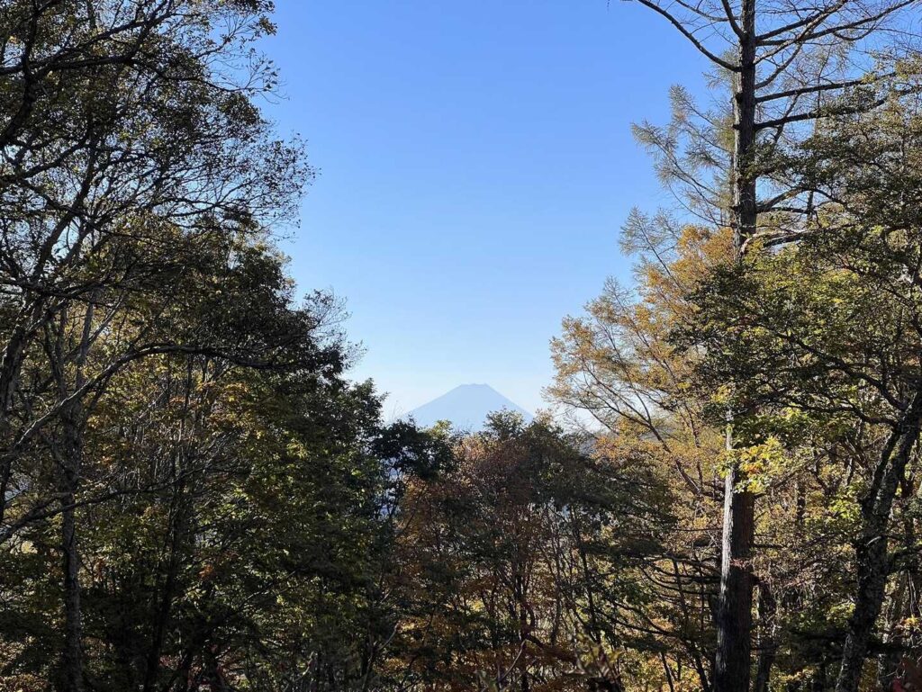 富士見平からの富士山