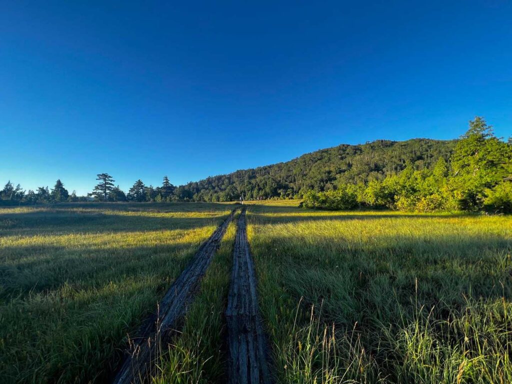 どこまでも続く木道