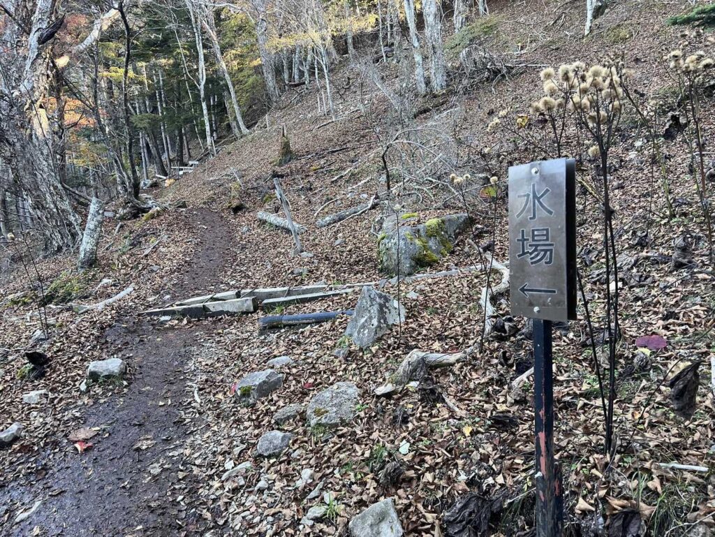 小屋近くの水場