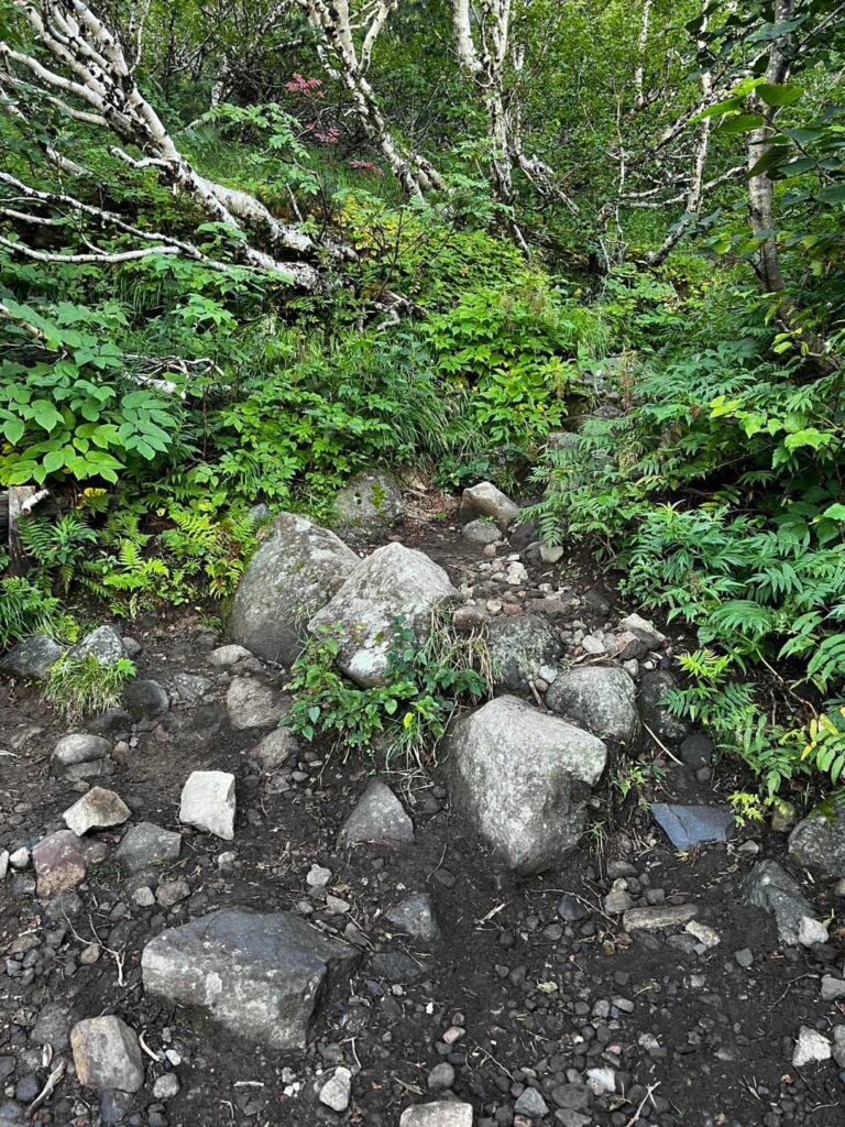 岩が出てき始める区間