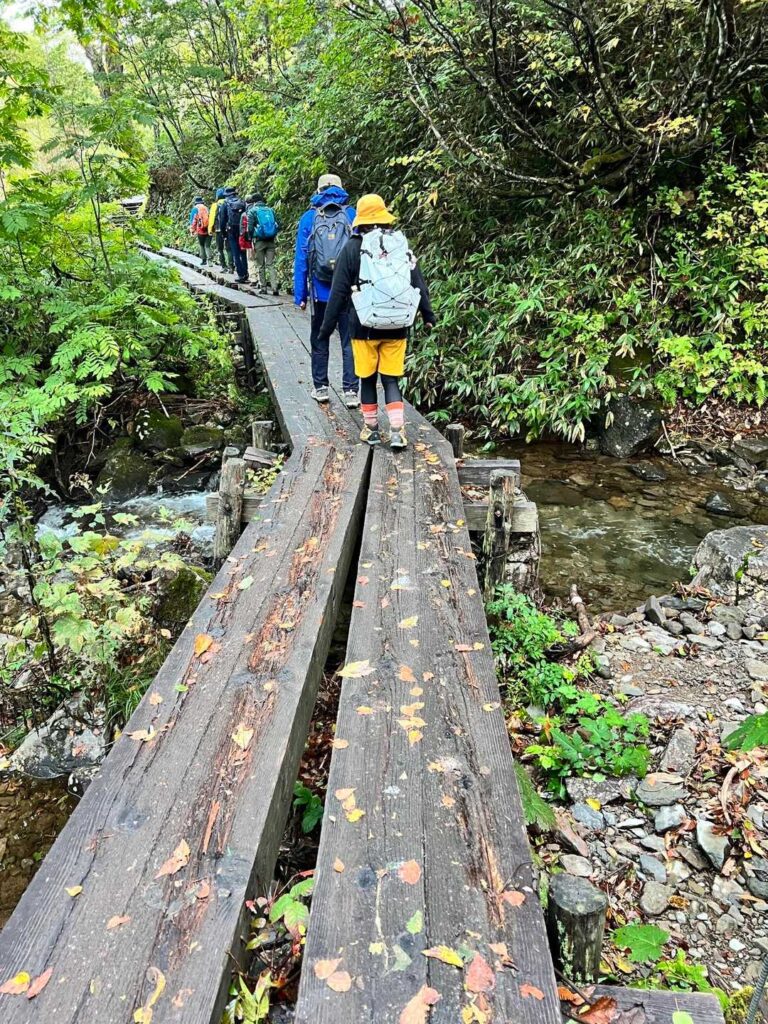 滑ったらドボンの木道