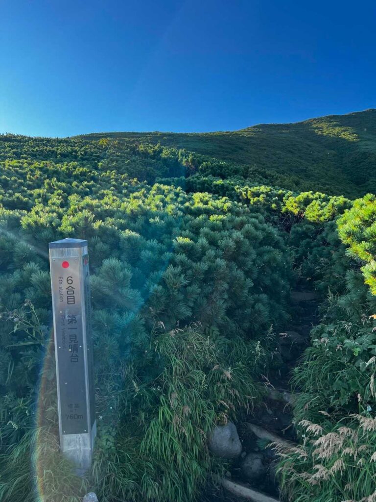 遮るものがなくなって暑い